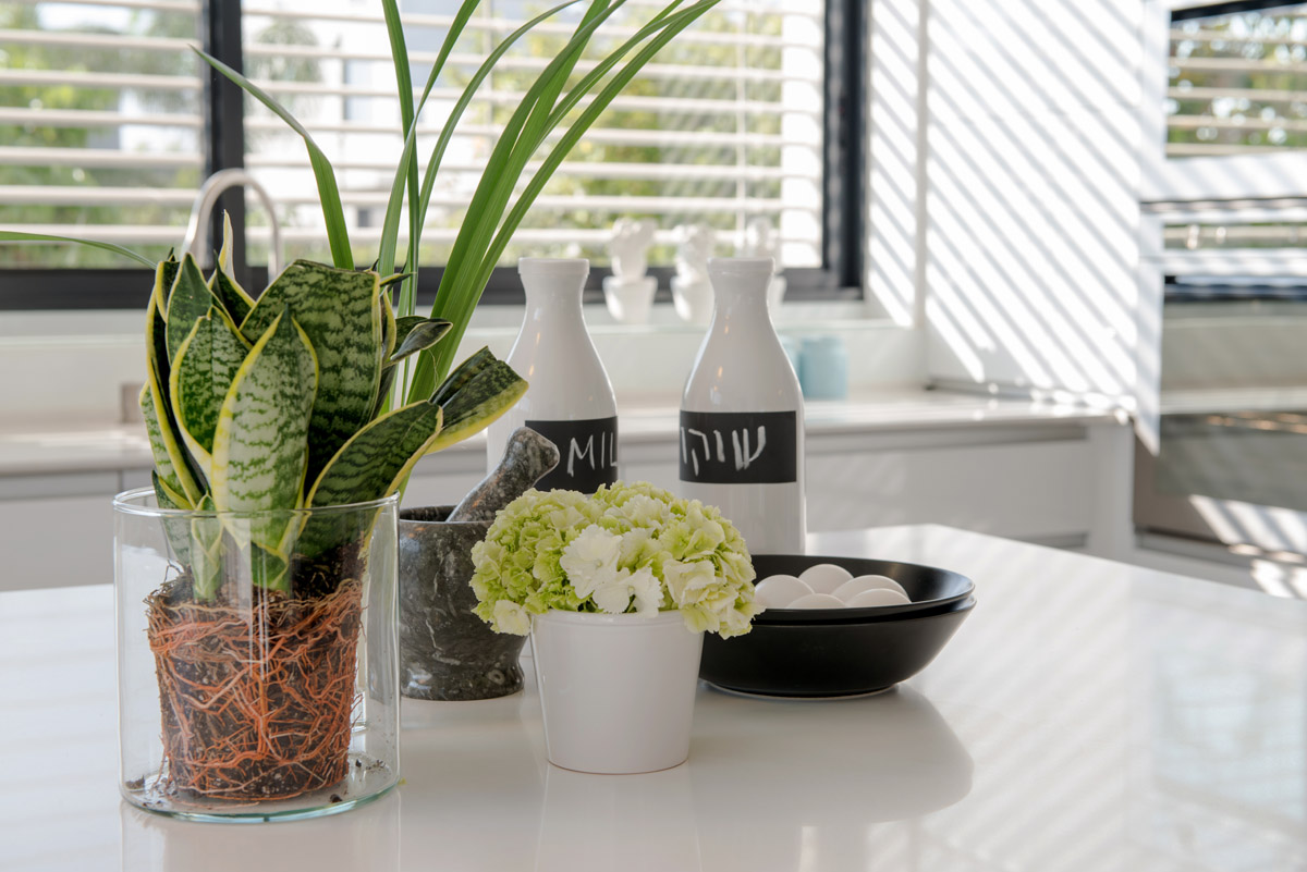 A detail in the kitchen — planting and utensils on the white worktop, against a louvred shutter